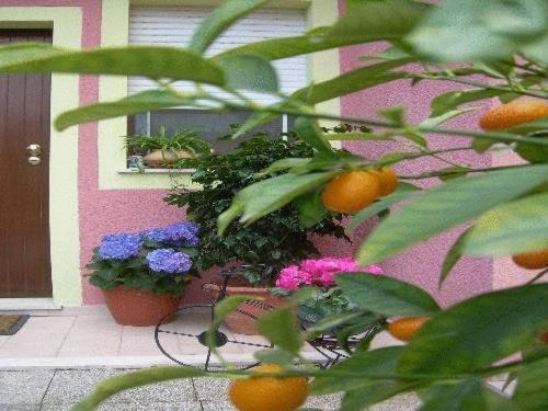 Ariedo Bed And Breakfast Capoterra Extérieur photo