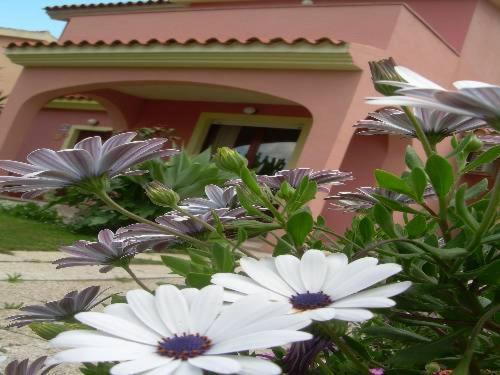 Ariedo Bed And Breakfast Capoterra Chambre photo